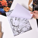 🎨✍️ كتب تلوين للكبار لتخفيف التوتر (✨غلاف مقوى)